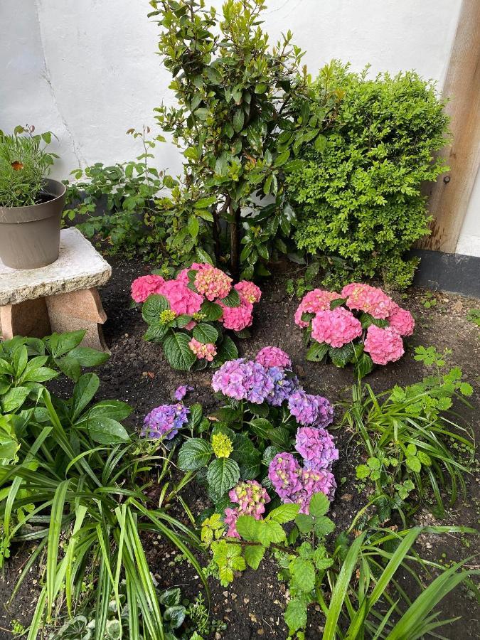 בולון-סור-מאר Appartement Vivier 4 Personnes Tout Confort מראה חיצוני תמונה